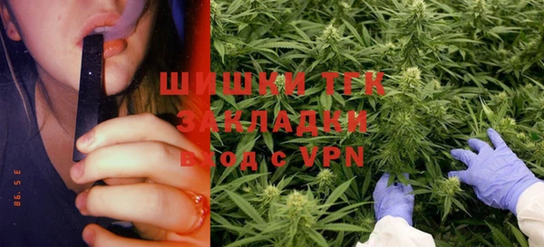 экстази Гусь-Хрустальный